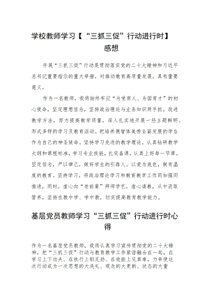 学校教师学习【“三抓三促”行动进行时】感想三篇.docx