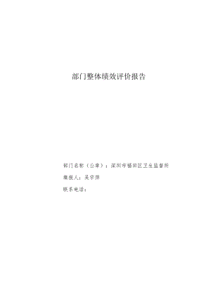 部门整体绩效评价报告.docx