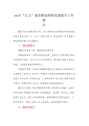 XX区“五力”建设推进两新党建提升工作报告.docx