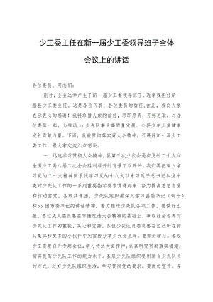 少工委主任在新一届少工委领导班子全体会议上的讲话.docx