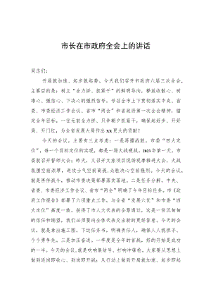 市长在市政府全会上的讲话.docx