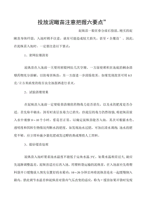 投放泥鳅苗注意把握六要点”.docx