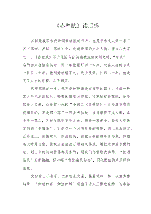 《赤壁赋》读后感.docx