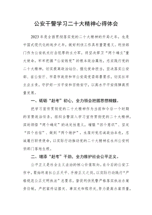 公安干警学习二十大精神心得体会.docx
