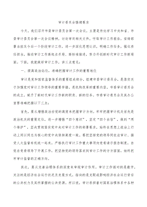 审计委员会强调要求.docx