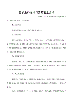 巴沙鱼的介绍与养殖前景介绍.docx