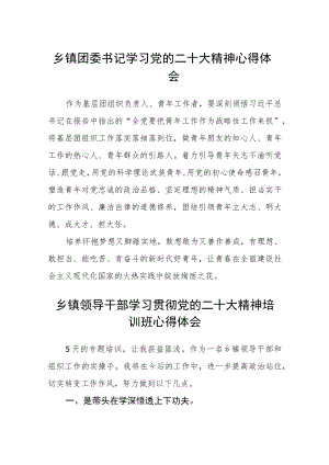 乡镇团委书记学习党的二十大精神心得体会合篇【三篇】.docx