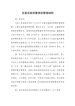 全面实施预算绩效管理细则.docx
