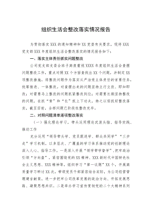 组织生活会整改落实情况报告.docx
