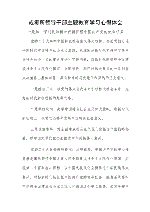 戒毒所领导干部主题教育学习心得体会.docx