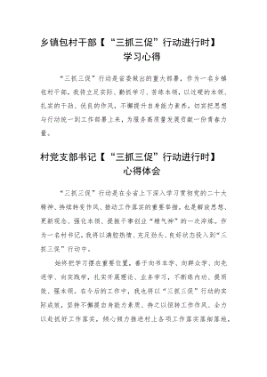 乡镇包村干部【“三抓三促”行动进行时】学习心得三篇.docx