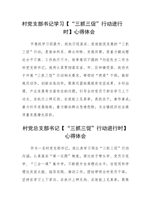 村党支部书记学习【“三抓三促”行动进行时】心得体会合篇【三篇】.docx