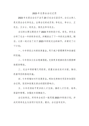2023年支委会会议记录.docx