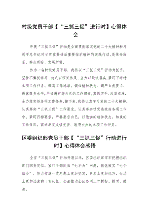 村级党员干部【“三抓三促”进行时】心得体会三篇.docx