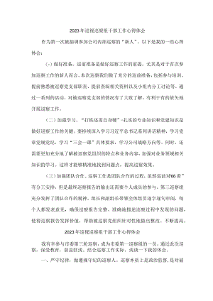 新区2023年纪检巡察组巡检工作心得体会 合计9份.docx
