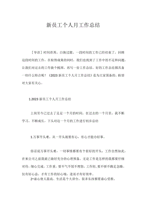 新员工个人月工作总结.docx