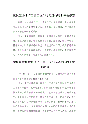 党员教师【“三抓三促”行动进行时】体会感想三篇.docx