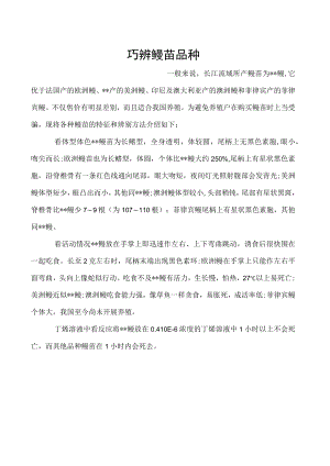 巧辨鳗苗品种.docx