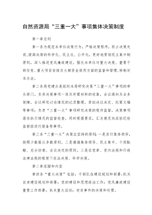 自然资源局“三重一大”事项集体决策制度.docx
