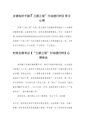 乡镇包村干部【“三抓三促”行动进行时】学习心得合篇【三篇】.docx