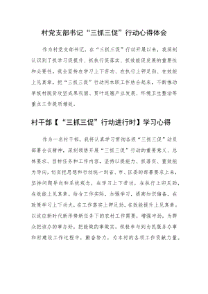 村党支部书记“三抓三促”行动心得体会合篇【三篇】.docx