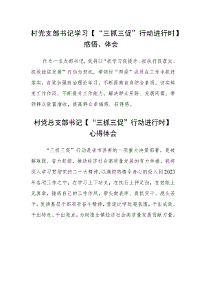 村党支部书记学习【“三抓三促”行动进行时】感悟、体会范文(3篇).docx