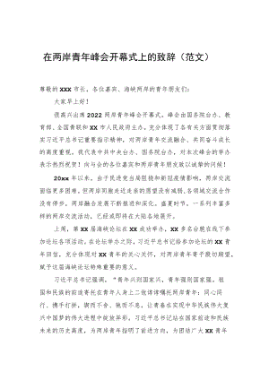 在两岸青年峰会开幕式上的致辞（范文）.docx