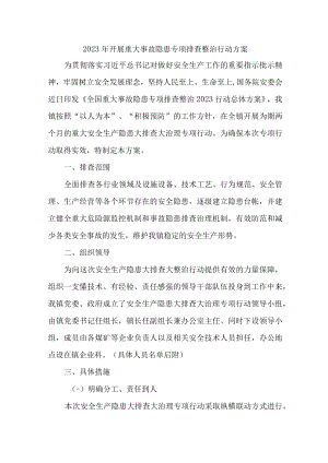 非煤矿山企业2023年开展重大事故隐患专项排查整治行动方案 合计9份.docx