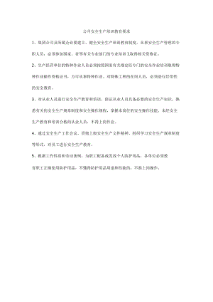 公司安全生产培训教育要求.docx