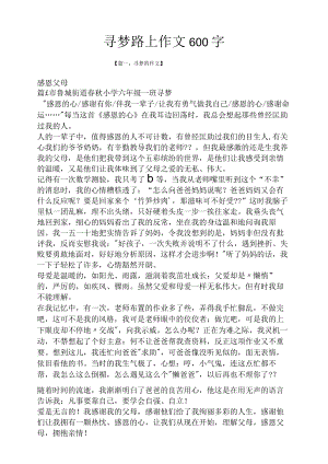 路作文之寻梦路上作文600字.docx