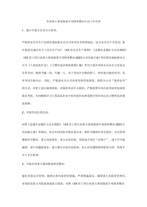 车间重大事故隐患专项排查整治行动工作内容.docx