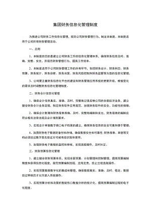 集团财务信息化管理制度.docx
