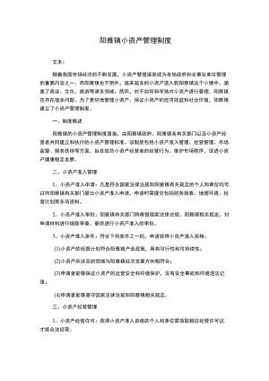 阳雅镇小资产管理制度.docx