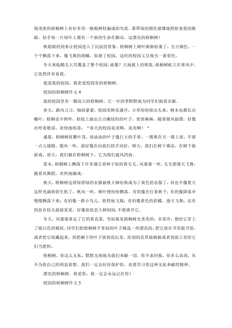 校园的梧桐树作文(集锦15篇).docx_第3页