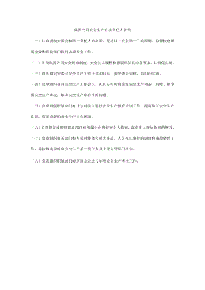 集团公司安全生产直接责任人职责.docx