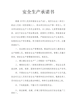 企业法人安全生产承诺书.docx