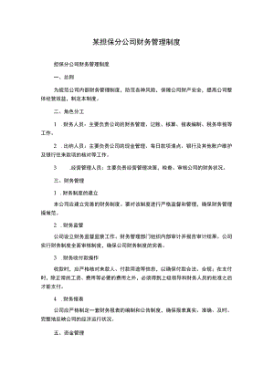 某担保分公司财务管理制度.docx