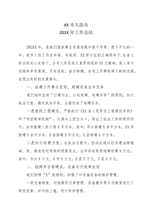 XX市人防办202X年工作总结.docx
