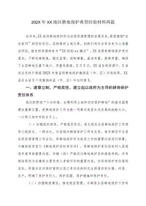202X年XX地区耕地保护典型经验材料.docx