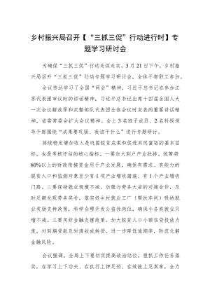 乡村振兴局召开【“三抓三促”行动进行时】专题学习研讨会精选范文(3篇).docx