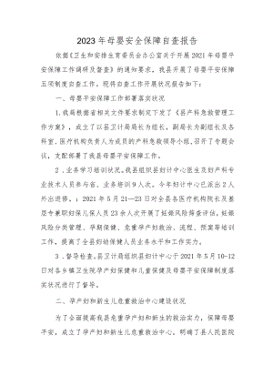 2023年母婴安全保障自查报告.docx