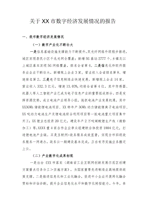 关于XX数字经济发展情况的报告.docx