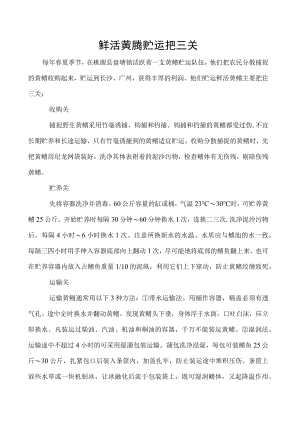 鲜活黄鳝贮运把三关.docx