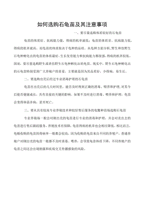 如何选购石龟苗及其注意事项.docx