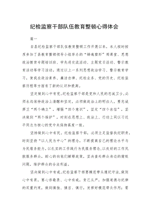 纪检监察干部队伍教育整顿心得体会二篇.docx