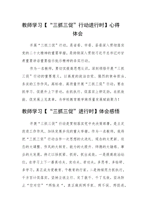 教师学习【“三抓三促”行动进行时】心得体会(参考范文三篇).docx