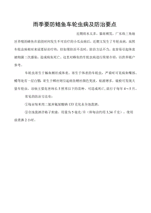 雨季要防鲶鱼车轮虫病及防治要点.docx