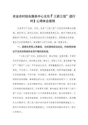 农业农村综合服务中心主任【“三抓三促”进行时】心得体会感悟精选范文(3篇).docx