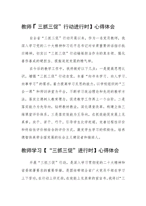 教师【“三抓三促”行动进行时】心得体会精选范文(三篇).docx