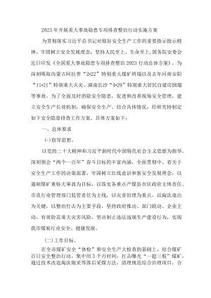 水上交通开展2023年重大事故隐患专项排查整治行动实施方案 汇编6份.docx